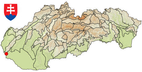 Occurence of Eukoenenia florenciae