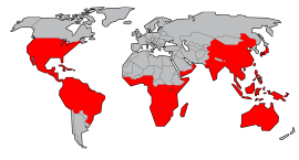 schizomida distribution